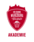 logo_VR-Bank Würzburg Baskets Akademie_4